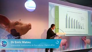 PRRS immunology and its implications on the field  ESPHM 2018 [upl. by Hailed]