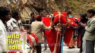 Palanquin of Naag Devta outside Yamunotri Temple  Uttarakhand [upl. by Nwatna]