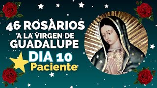 DIA 10 ⭐PACIENTE 46 Rosarios 🌹 a la Virgen de Guadalupe [upl. by Fausta649]