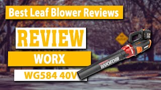 WORX WG584 40V Power Share Turbine Cordless Leaf Blower Review  Best Cordless Leaf Blower [upl. by Seana]