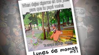 quot¡Lunes De Momosquot  Episodio 81  Nuevos Memes Lolis Y Mas [upl. by Oralia]