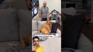 My dog made me eat dog food dog dogfood goldenretriever shorts viralvideo aguyandagolden [upl. by Idrahs]