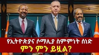 የኢትዮጵያና ሶማሊያ ስምምነት ሰነድ ምን ምን ይዟል ethiopianews ethiopia somalia somali abiyahmed turkey fyp [upl. by Yevi358]