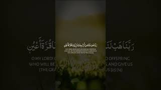 Beautiful Quranic DUA quran koran القران [upl. by Butch919]