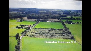 Online Lezing Wouter van Eck over Voedselbossen [upl. by Malas429]