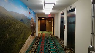 ThyssenKrupp Elevators at the Hampton Inn Roanoke VA [upl. by Eelnodnarb]