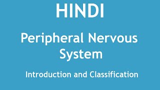 Peripheral Nervous System  Introduction and Classification HINDI  Dr Shikha Parmar [upl. by Yralam]