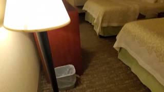 Days Inn Hotel Room Greenfield MA [upl. by Adyol]