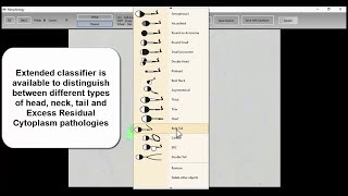 MMC Sperm sperm morphology analysis [upl. by Otrebliw419]