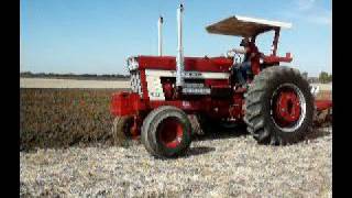 IH 1566 BS 1468 1466 1066 plowing [upl. by Ayk]