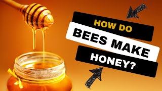 How Do Bees Make Honey  Why Do Bees Make Honey  Where Does Honey Come From SHORTS [upl. by Newmark992]