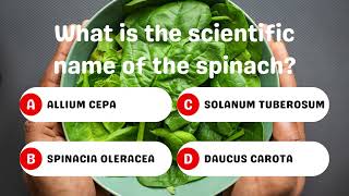 Scientific Name of Spinach 🍃 [upl. by Nedlog]