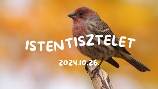 Istentisztelet  20241026 [upl. by Arfihs]