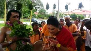 Udukai Arul Paadal at TupahSri Muthu Mariamman Alayam  Highlights [upl. by Ydnis]