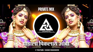 Padala Piklay Amba   पाडाला पिकलाय आंबा   Private Mix  Dj SkyLine [upl. by Eniwtna28]