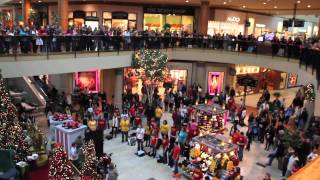 Flash Mob the best of Christmas 2011  Flash Mob Best Of [upl. by Puglia]