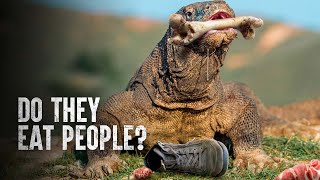 How I Survived a Komodo Dragon Attack [upl. by Ainuj845]