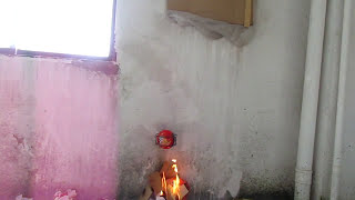 AFO Fire Extinguisher BALL  Real Test [upl. by Andres]