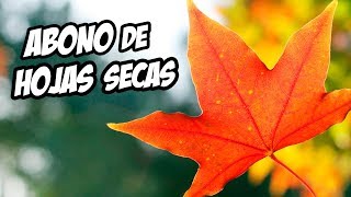 PODEROSO ABONO ORGÁNICO DE HOJAS SECAS 🍂  La Huerta de Ivan [upl. by Nairad]