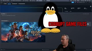 Linux Gaming Woes [upl. by Pan]