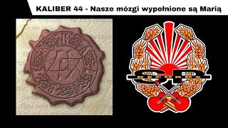 KALIBER 44  Nasze mózgi wypełnione sa Marią OFFICIAL AUDIO [upl. by Emmeline]