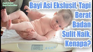 Bayi ASI Ekslusif Tapi Berat Badan Sulit Naik Kenapa [upl. by Alcot]