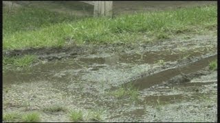 Septic tank overflows with raw sewage [upl. by Ecreip]