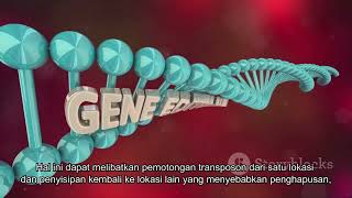 Mutagenesis Transposon [upl. by Toh307]