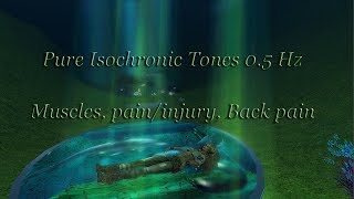 1 Hour  Muscles paininjury Back pain and more Isochronic Tones 05 Hz Hz Pure Series [upl. by Gaylord]