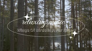 Wings Of Birds In A Far Island Piano Relax My Home [upl. by Inotna]