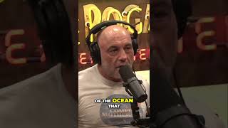 Joe Rogan Unpacks the Hidden Impact of OverhuntingPart 1 [upl. by Hsara]