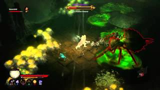 Diablo 3 PS4  Chamber Of Queen Araneae  Reaper Of Souls [upl. by Ahsenot369]