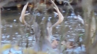 HUNTING OHIO MASSIVE BUCK IN THE RUT 2018 [upl. by Four]