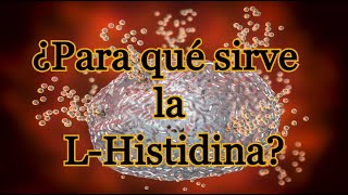 ¿Para qué sirve la L Histidina [upl. by Nabru]