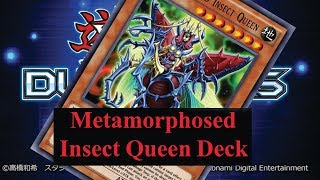 YuGiOh Duel LinksHotspring Cat รีวิวMetamorphosed Insect Queen Deck EP 239 [upl. by Andromede]