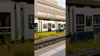 Wallisellen Train Station Zurich 🇨🇭travel ytshorts abba [upl. by Kilroy]