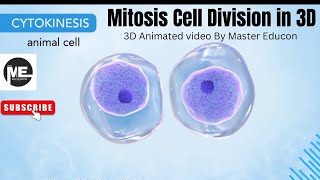 Mitosis Cell Division Explained in 3D  Master Educon  Cell Biology 3D Animation [upl. by Caro57]