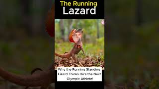 Running Lazard You havent been seen before  unbelievable seen youtubeshorts viralvideo ytshorts [upl. by Intyrb7]