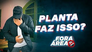 PLANTA FAZ ISSO CORTES DO FORA 2024 [upl. by Roldan575]