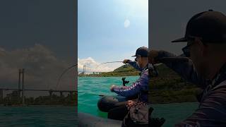 Bluefish on Zenaq Snipe 76 X zenaqsnipe bluefish floattube saltwaterspinning lurefishing [upl. by Alyag]