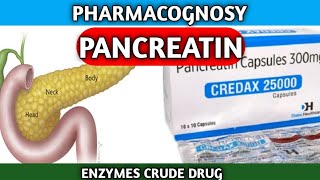 Pancreatin Pharmacognosy  Enzymes crude drug  Enzyme Pancreatin [upl. by Dream]