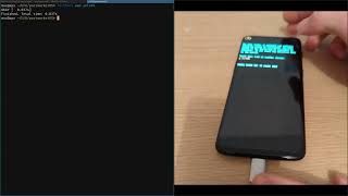 Flashing OnePlus 6T with postmarketOS [upl. by Essa]