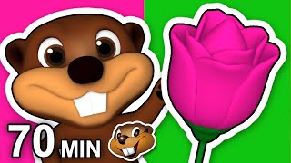 quotPink Flower Songquot Plus More  70 Min Compilation Learn Colors with Busy Beavers Teach Toddlers [upl. by Eralcyram360]