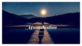 Moonshadow Cat Stevens cover [upl. by Ahsilahs]