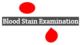 Blood Stain ExaminationIdentification of Human amp Animal BloodOrigin of Blood Stain [upl. by Orton]