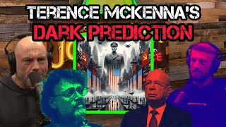 Joe Rogan FREAKED OUT by Terence McKennas DARK Prediction [upl. by Ynneh]