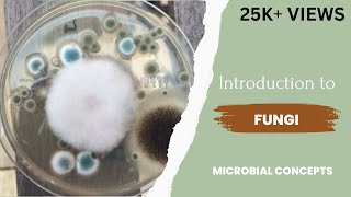 Introduction to fungi  Fungus  Theory  Microbiology  Mycology  Study of fungi [upl. by Claudia]