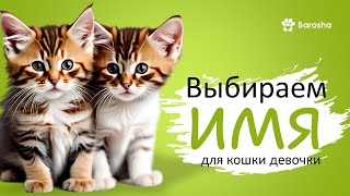 Выбираем ИМЕНА для кошки девочки [upl. by Bowie]