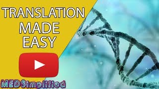 DNA Translation Made Easy [upl. by Sarson682]