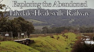 Exploring The Abandoned LilydaleHealesville Railway Remains and Preservation [upl. by Anawk695]